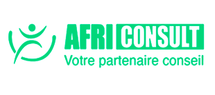 AFRI Consulut, entreprise de relocation devenue visible grâce à son site internet GIE International Business Consulting
